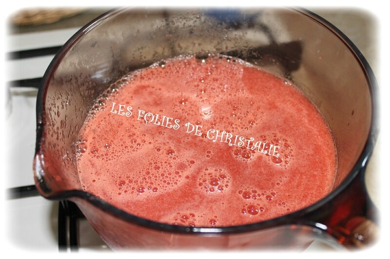 Gelée de pastèque 3