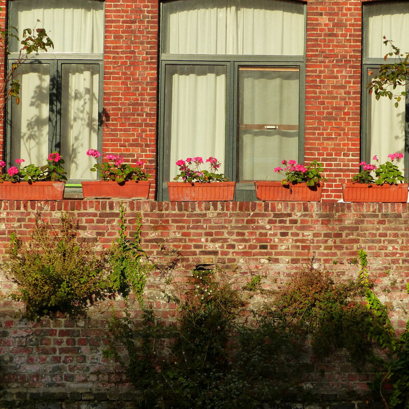 a FENETRES PORTES FLEURIES16