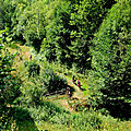 houblon 1 (28)