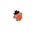 Platinum, coral, enamel and diamond lady bug clip-brooch, cartier, paris, circa 1940
