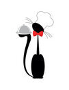 chat coiffe