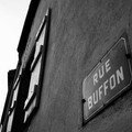 Hey Buffon - Dijon - Octobre 2006