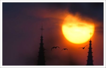 ville lulu lever soleil St Andre 3 canards 150412