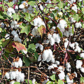 P1210716