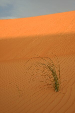 mauritanie_4712