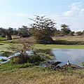 P1140487