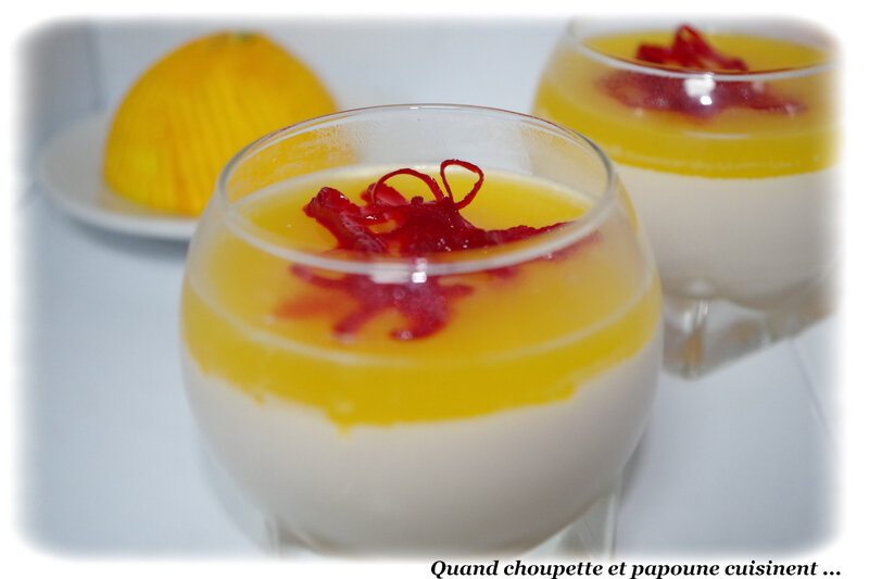 panna cotta façon spritz-4571