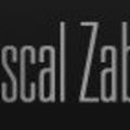 Culture: Pascal Zabus, site officiel