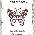 Dans le filet de Cathy Mariposa