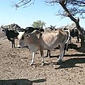 P1000711