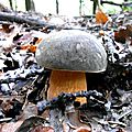 DSCN4449