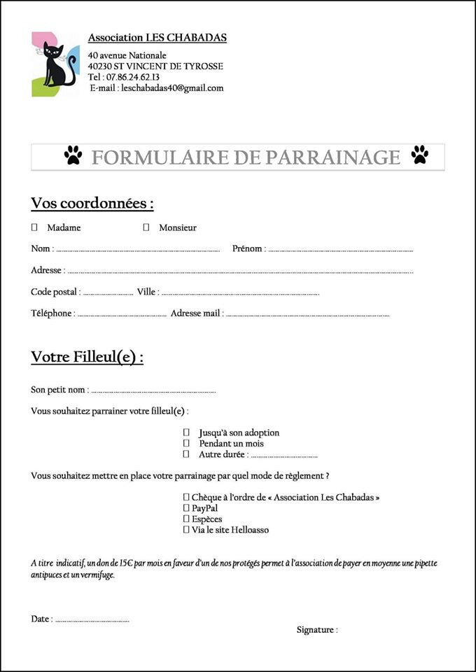 Parrainer Un Chat Ou Un Chaton Association Les Chabadas 40