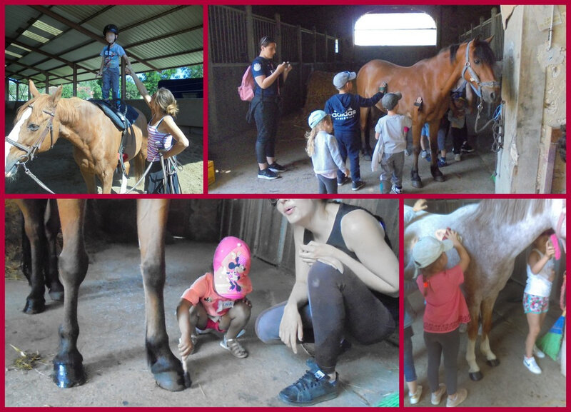 AA PONEY 1