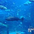 2021-05-20 11-38-16 - 104_1877