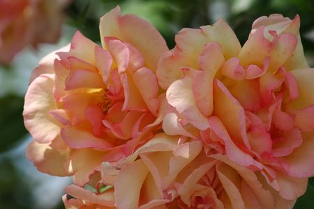 20_mai_2008_071