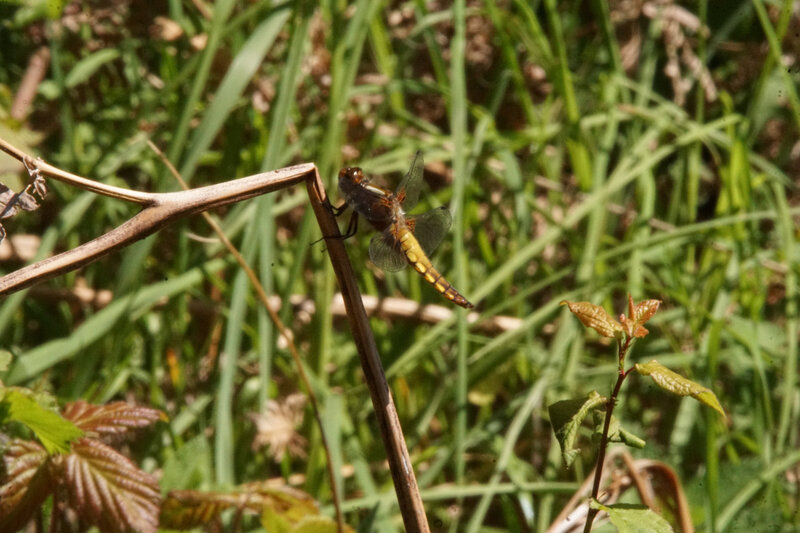 DSC02589