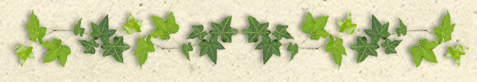 zeero