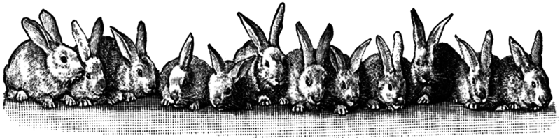 free vintage digital stamp_many easter bunnies