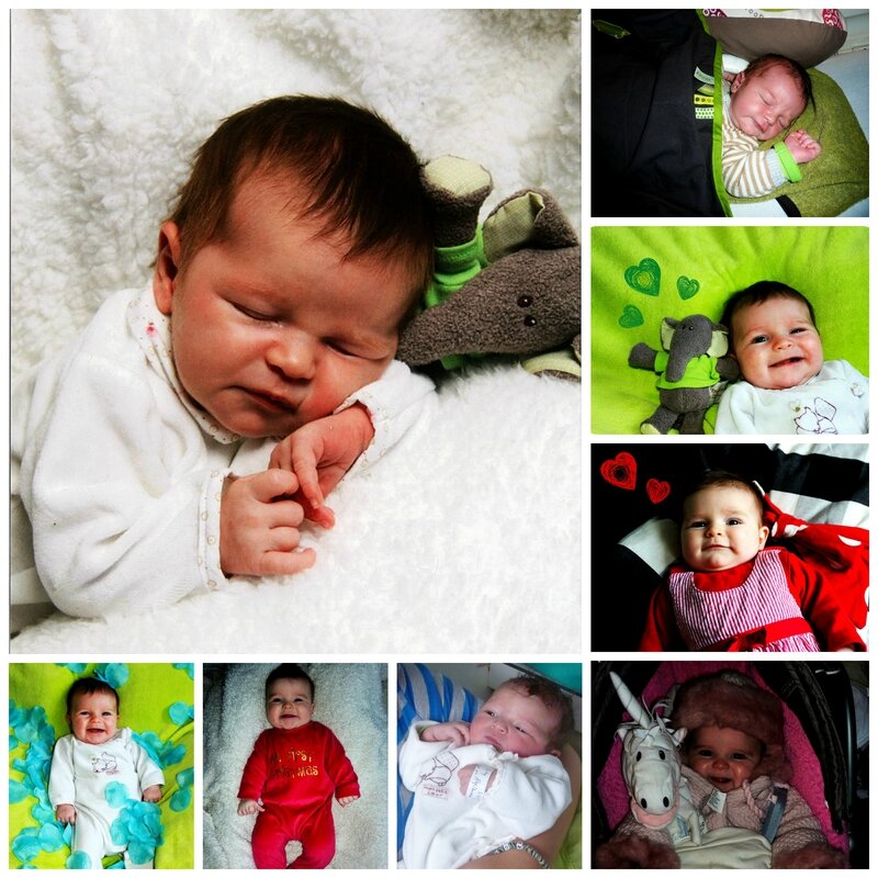 Lily Collage