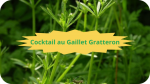8 GAILLET GRATTERONCocktail au gaillet gratteron-modified