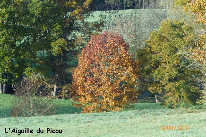 P1040181