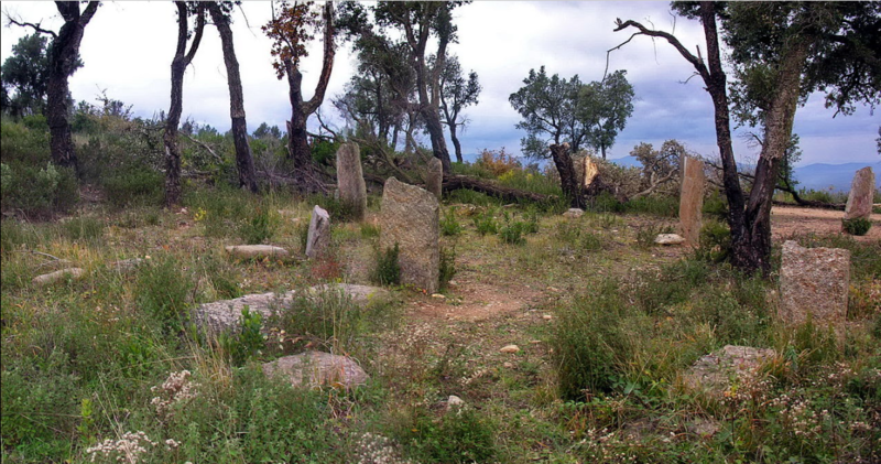 Menhirs des Terriers