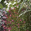 _DSC0547