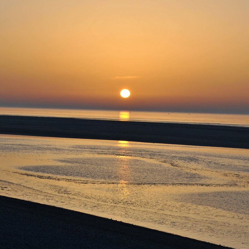 DSC_0502.JPG