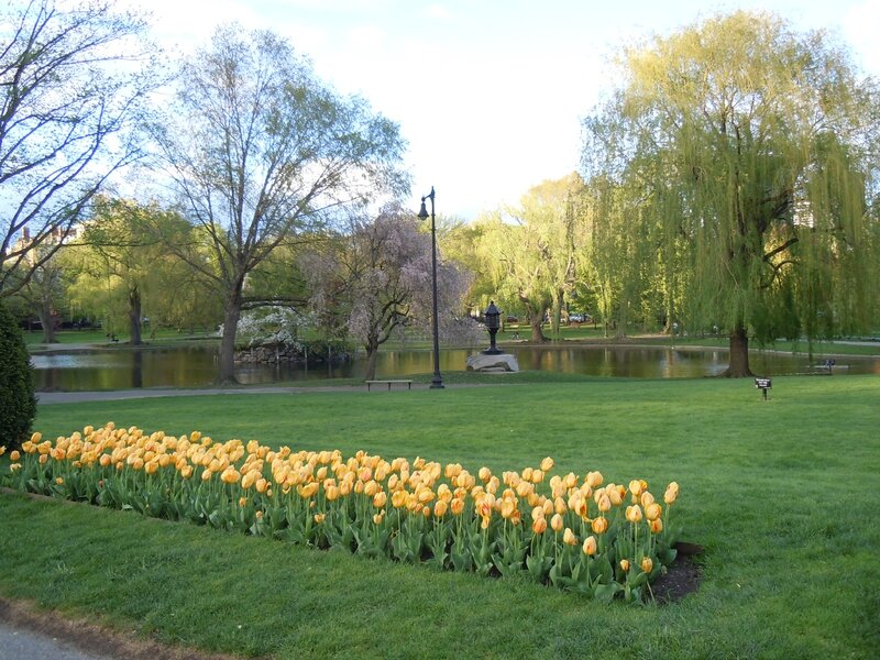 BOSTON COMMON PARK (198)