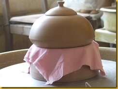 DSCF7295 DSCF7295