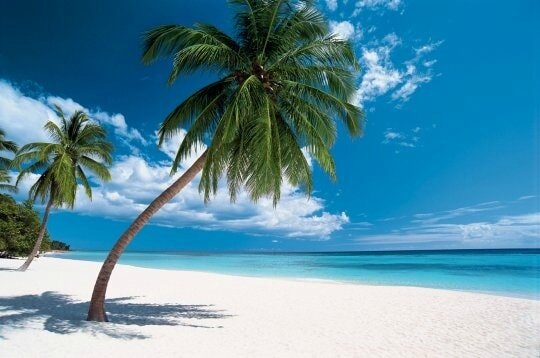 sous-soleil-republique-dominicaine-243739