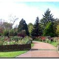 Le tableau de dahlias en automne