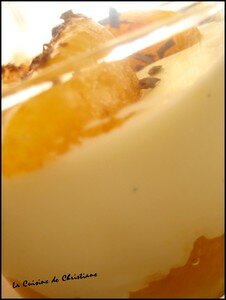 Pannacotta_vanille_et_marmelade_l_g_re_de_cl_mentines_2