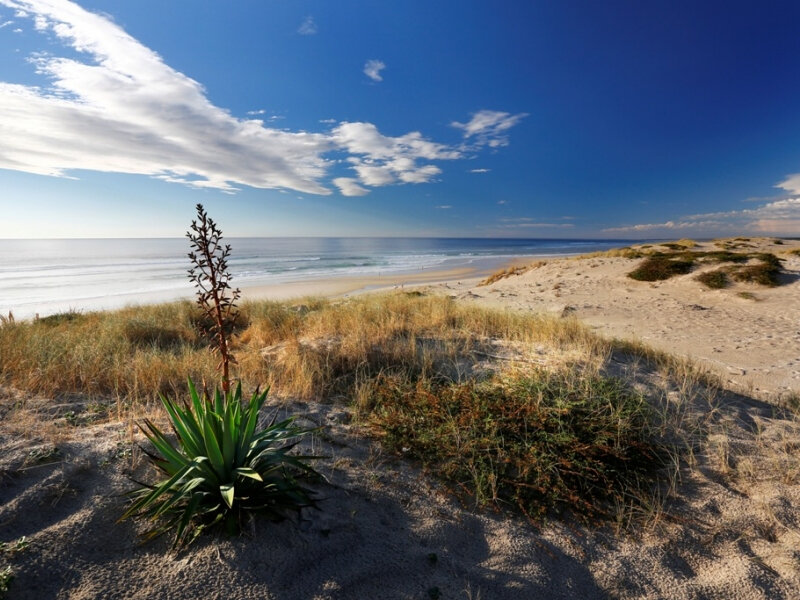 plage-oceane-bisca-3