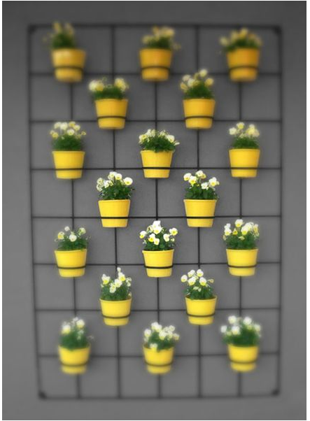 jardin dans la decobelge (31)