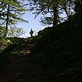 IMG_0532