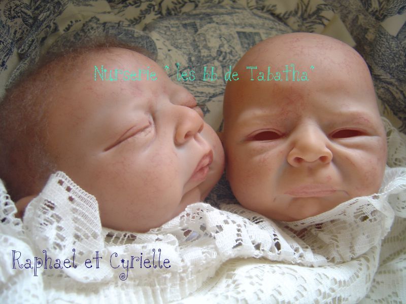 Les Jumeaux Breedveld Les Bebes De Tabatha