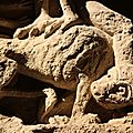 IMG_3846