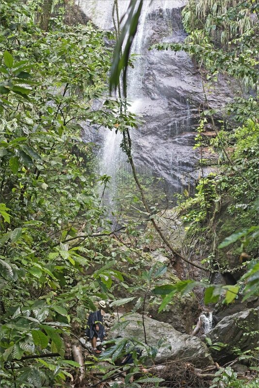 Martinique J3 061217 7D 25 anse et cascade Couleuvre cascade randonneur