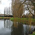 IMGP3284