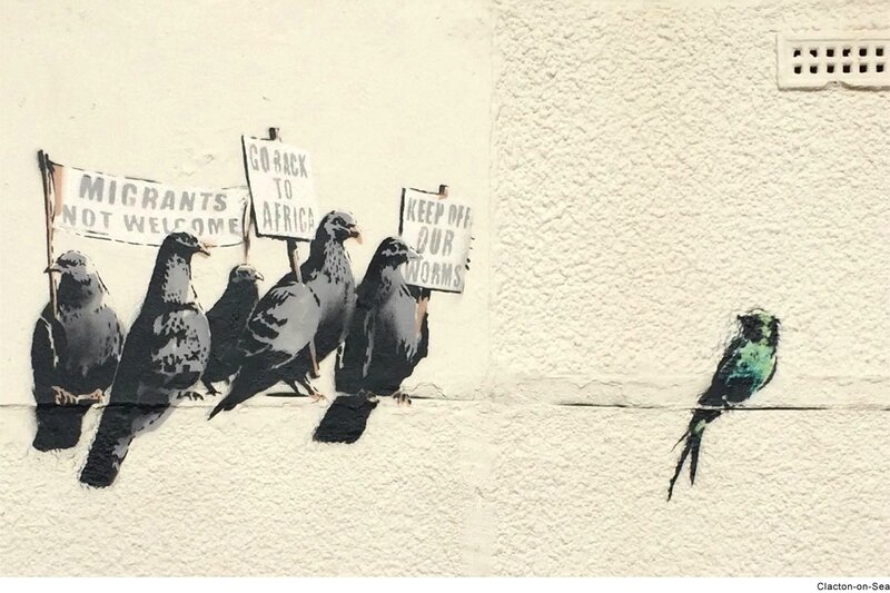 pigeon banksy