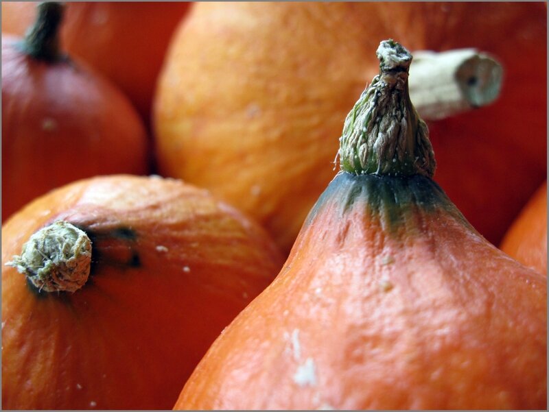 Automne 02