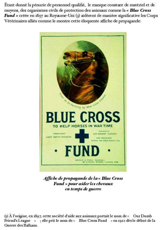 Blue cross fund