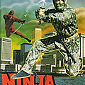 Ninja terminator (1986)