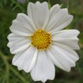 2010-09-01_225758