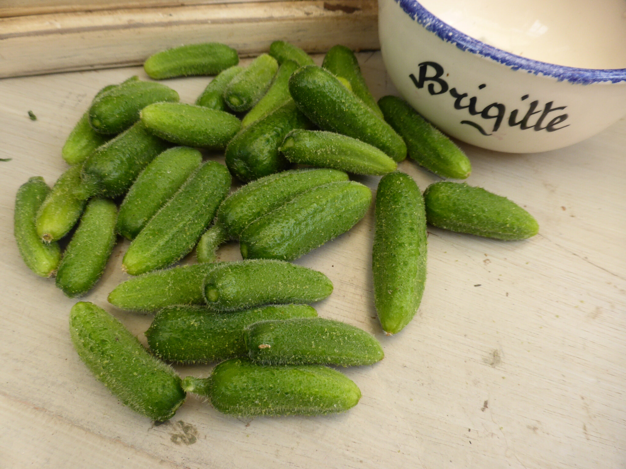 16 JUIN CONSERVES de cornichons au vinaigre en toute simplicité