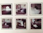 1999-Christies_AUCTION-Lot443a