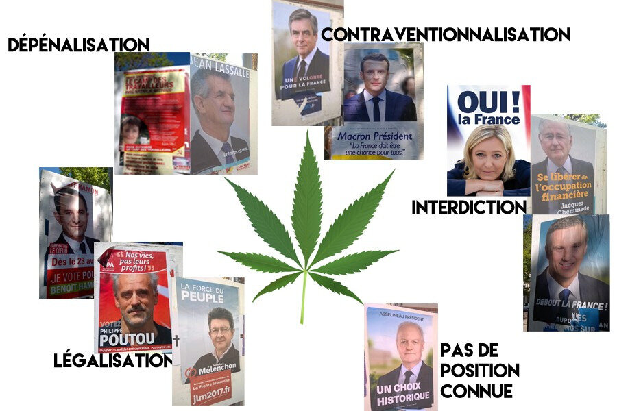 Légalisation Du Cannabis En France Pour Ou Contre Faut-il légaliser le cannabis en France ? - Le cannabis en France