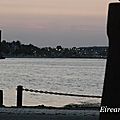DSC09565