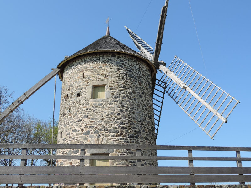 _copie-0_DSCN8767
